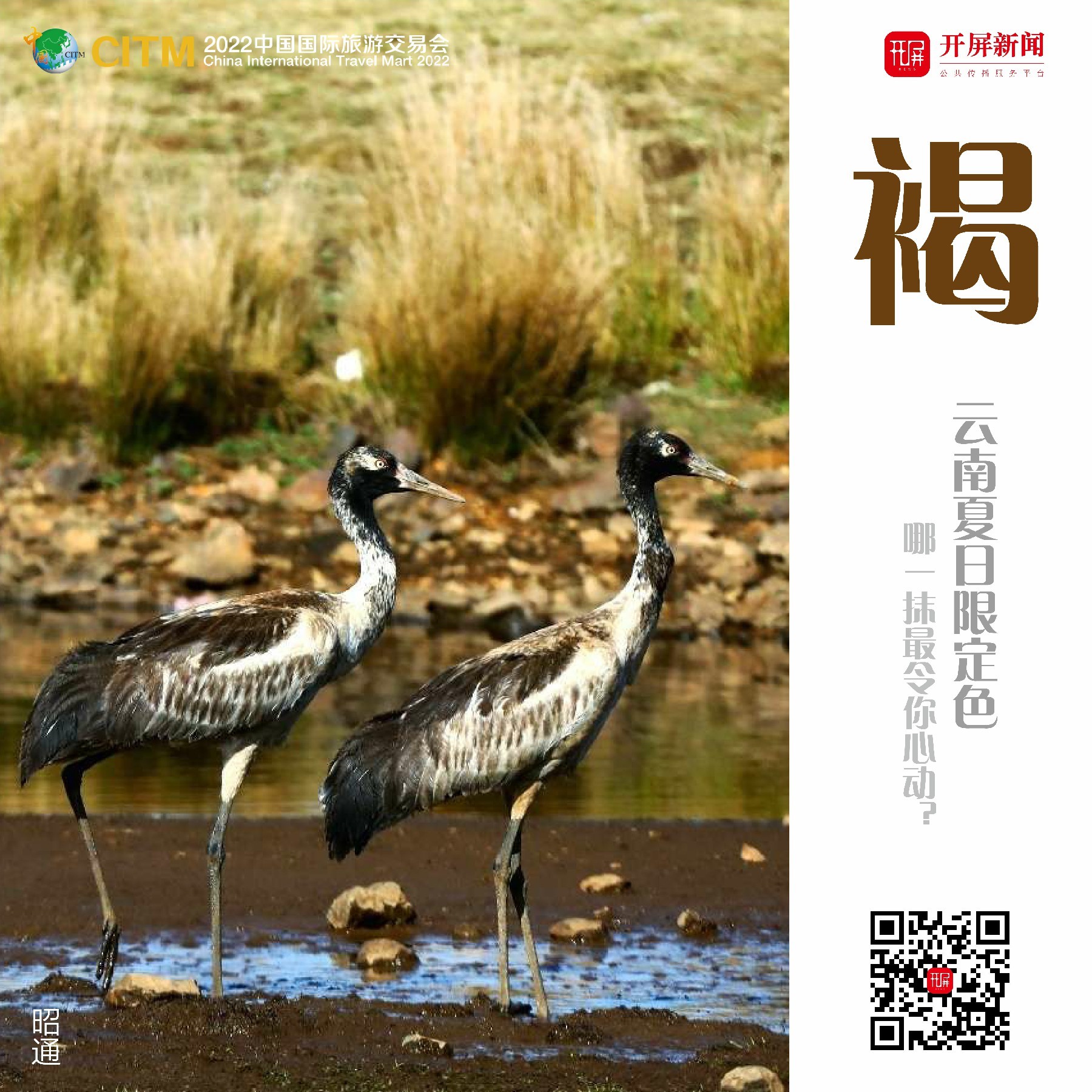 云南省文化和旅游厅