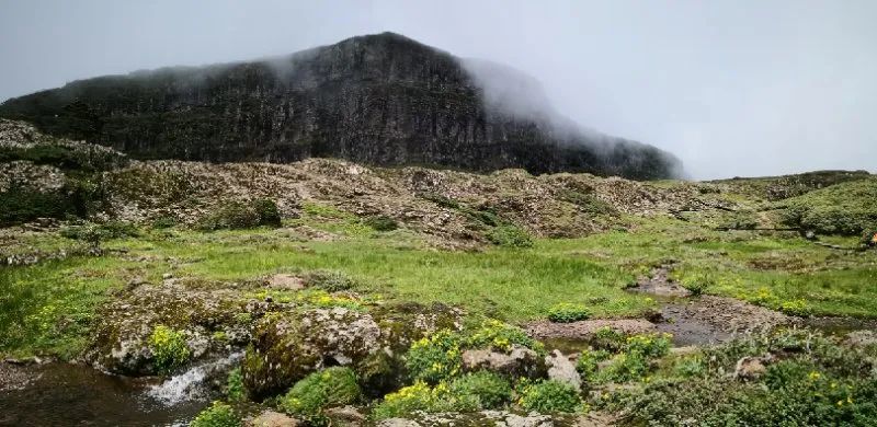 昆明轿子山旅游