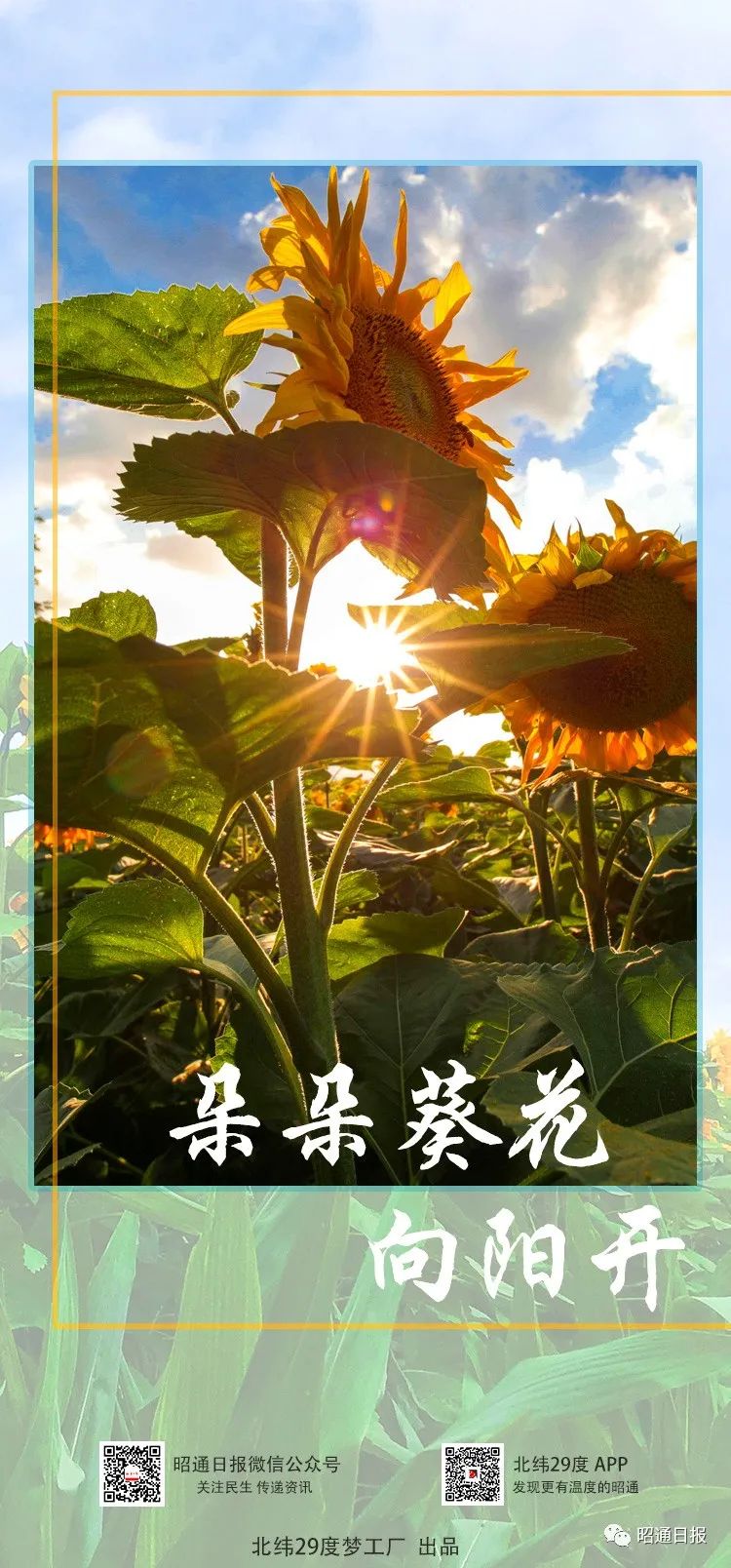 昭通日报