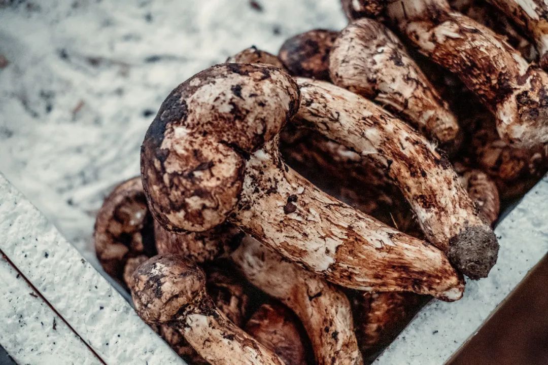 一部手机游云南