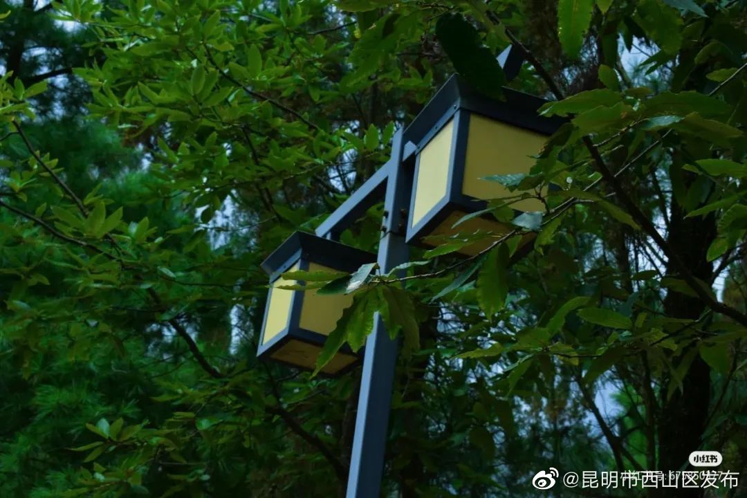 昆明市西山区发布