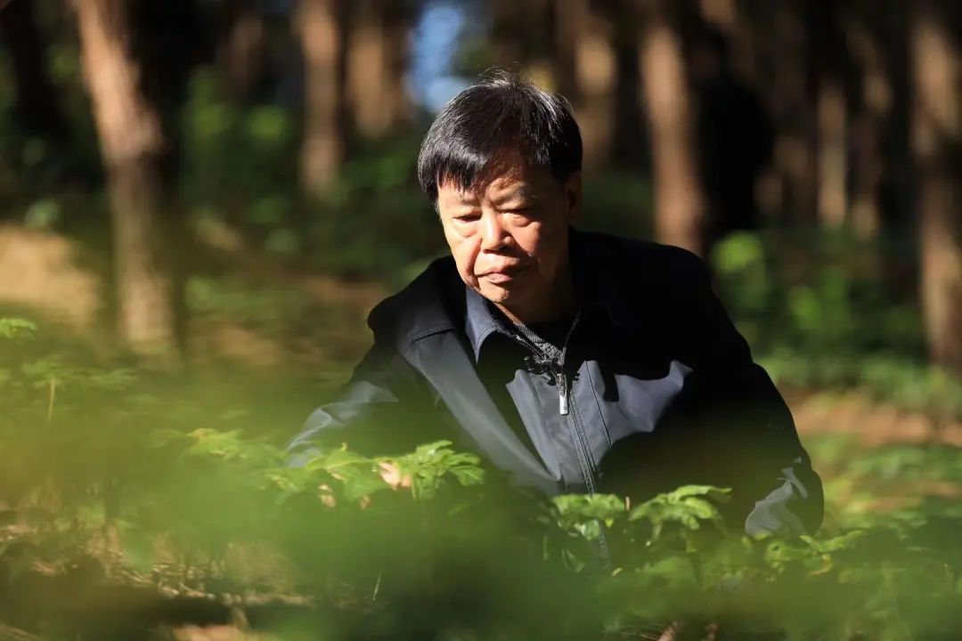 昆明信息港/cnkmxxg