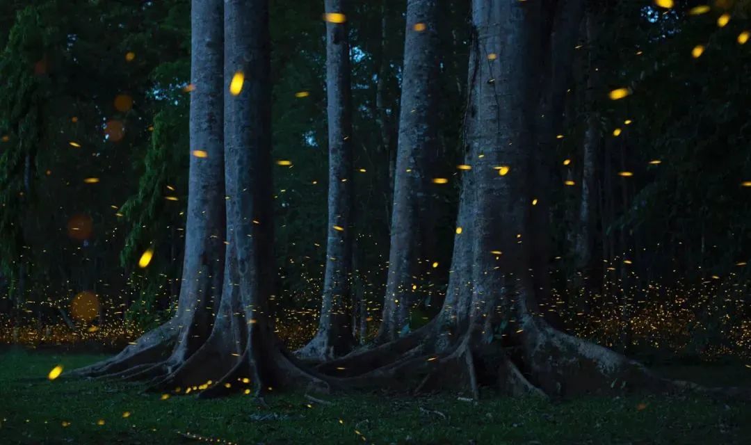 一部手机游云南