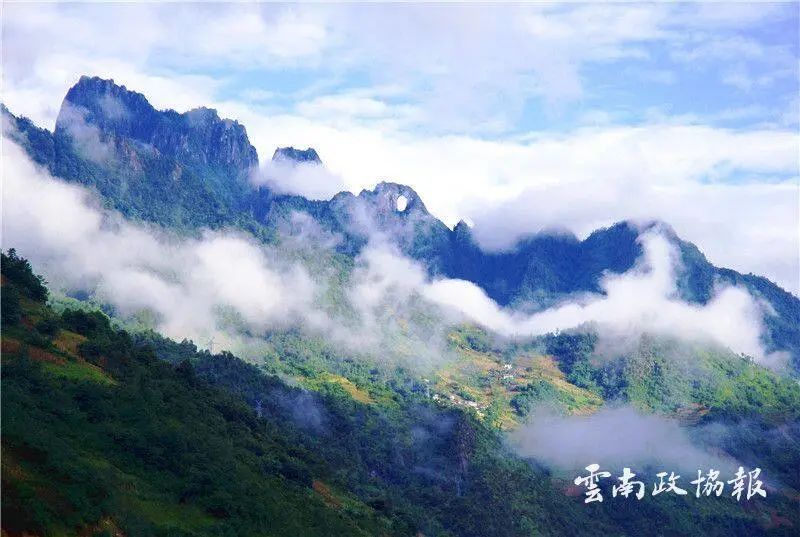 云南政协报