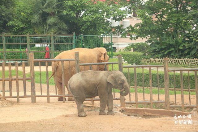 昆明信息港/cnkmxxg