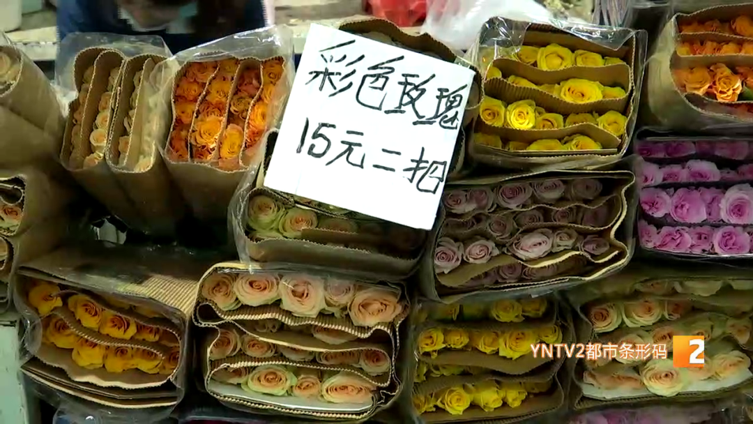 昆明信息港/cnkmxxg