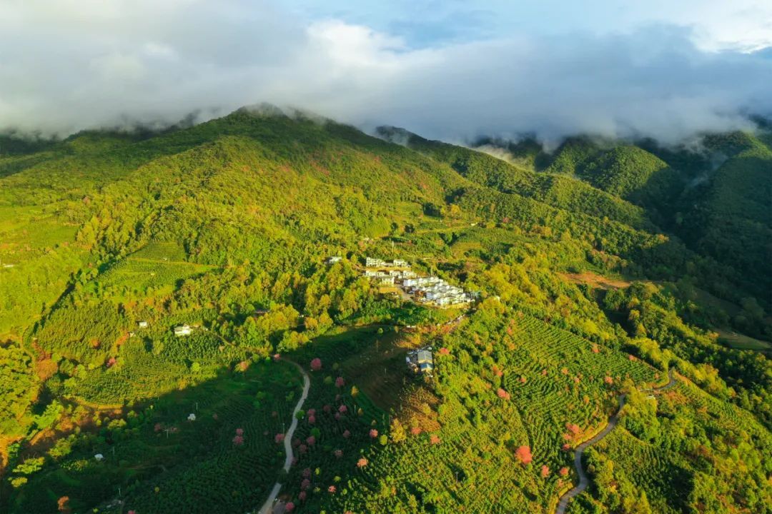 云南省文化和旅游厅