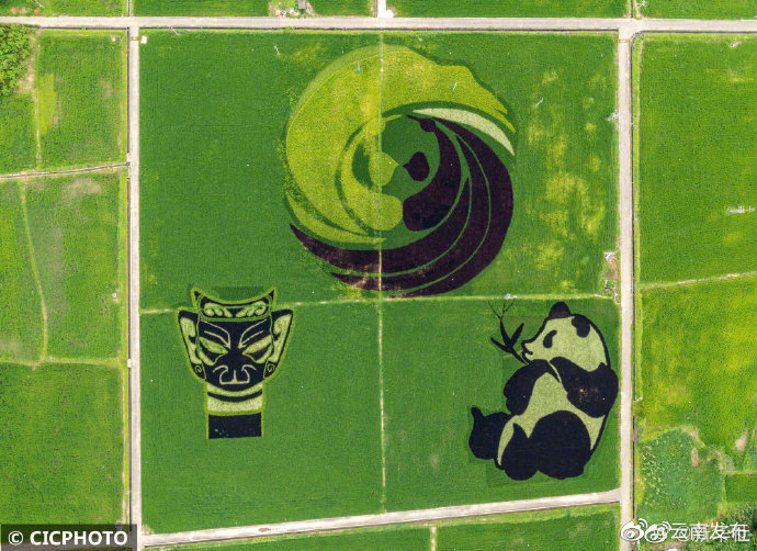 “云南发布”微博