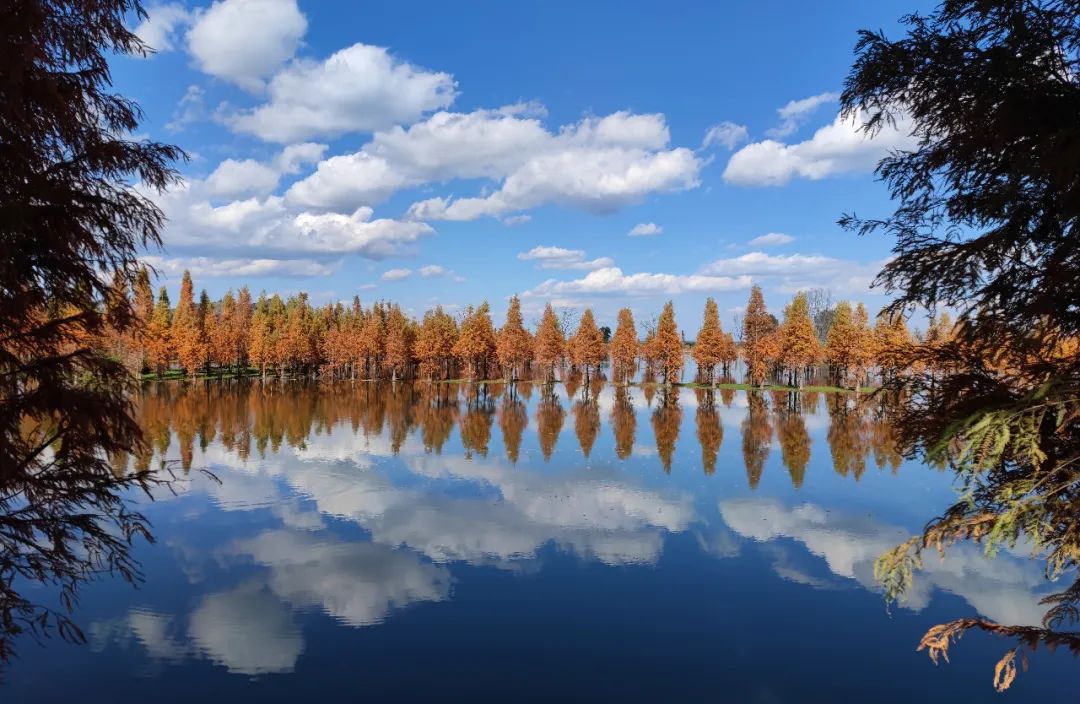 云南省人民政府网