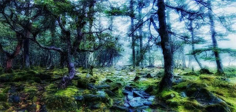悦读嵩明