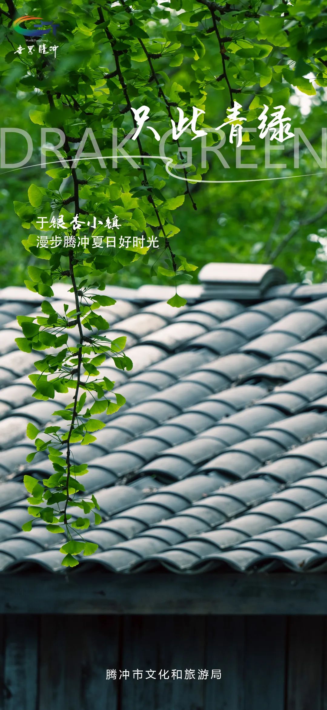 保山新闻网
