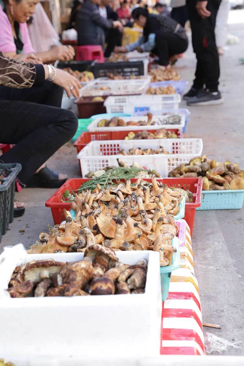 云南省文化和旅游厅