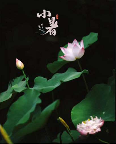 云南疾控