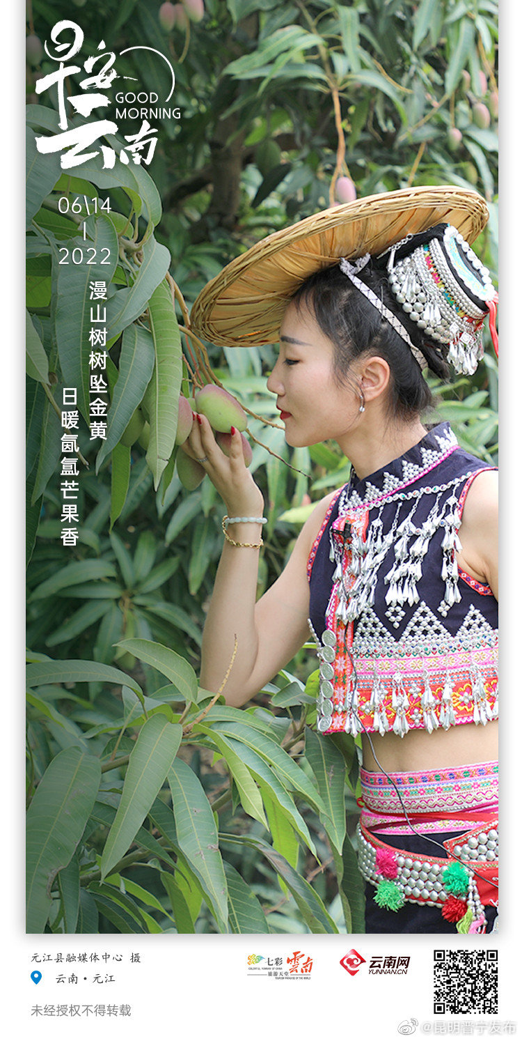 元江金芒果，邀你畅享“滨江花果城”