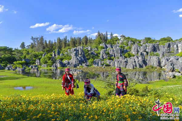 云南省文化和旅游厅