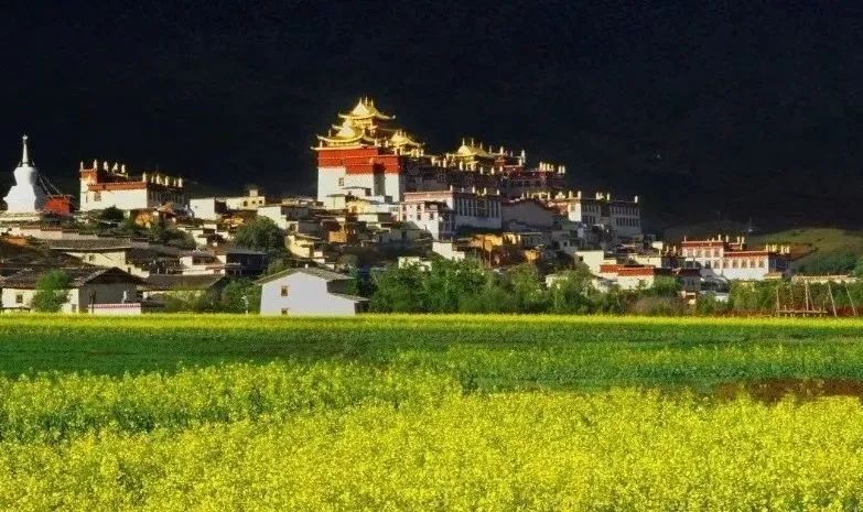 悦读嵩明