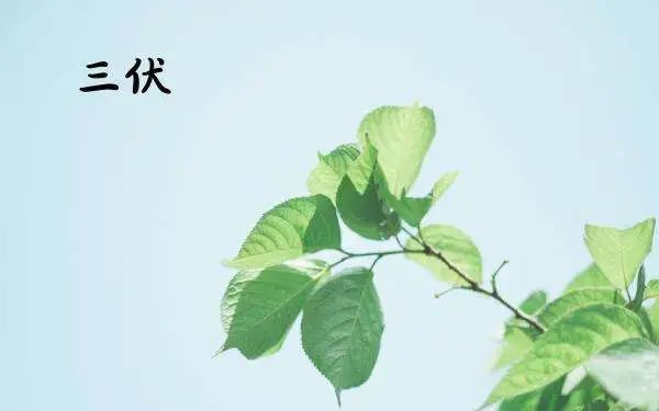 云南省中医医院