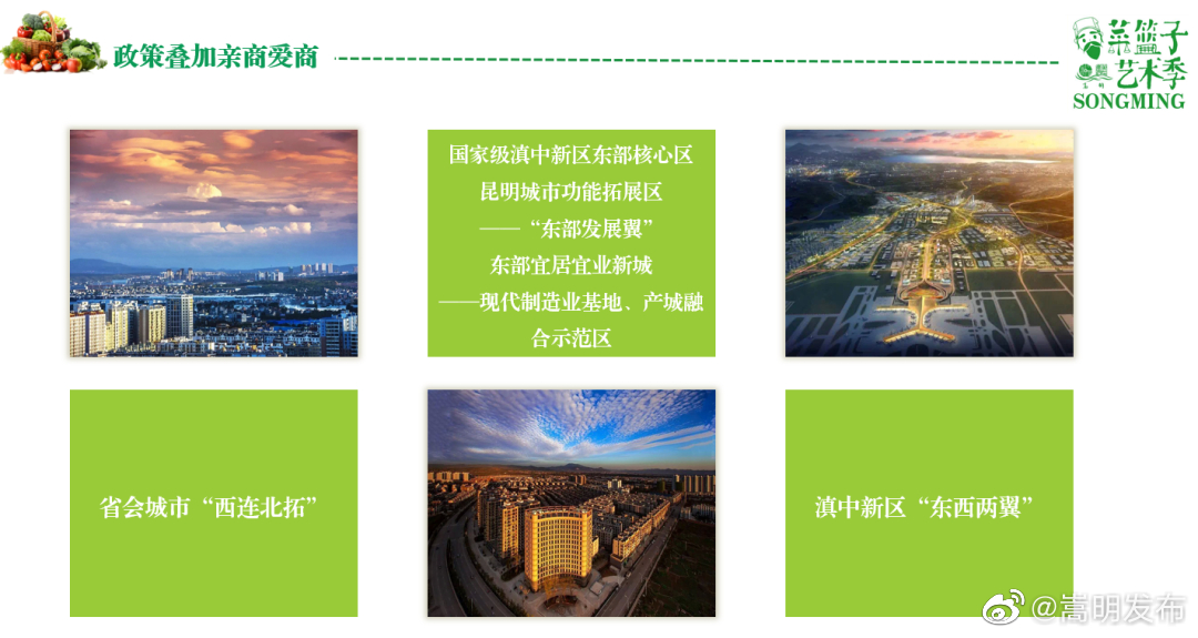 嵩明发布