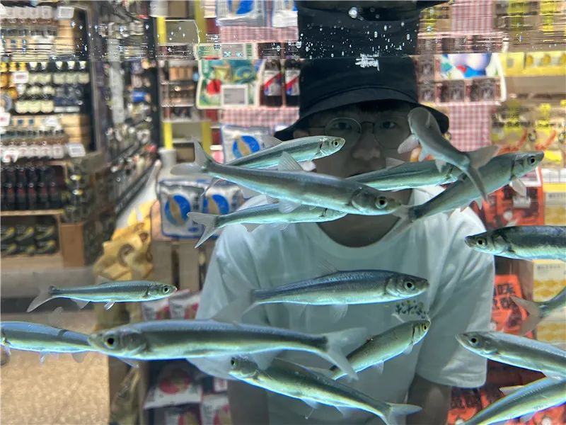 昆明信息港/cnkmxxg