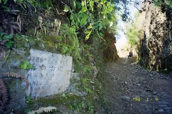 大理电视台