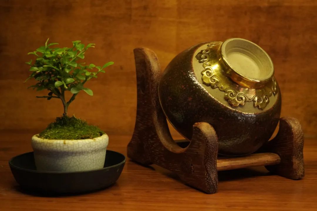 保山新闻网