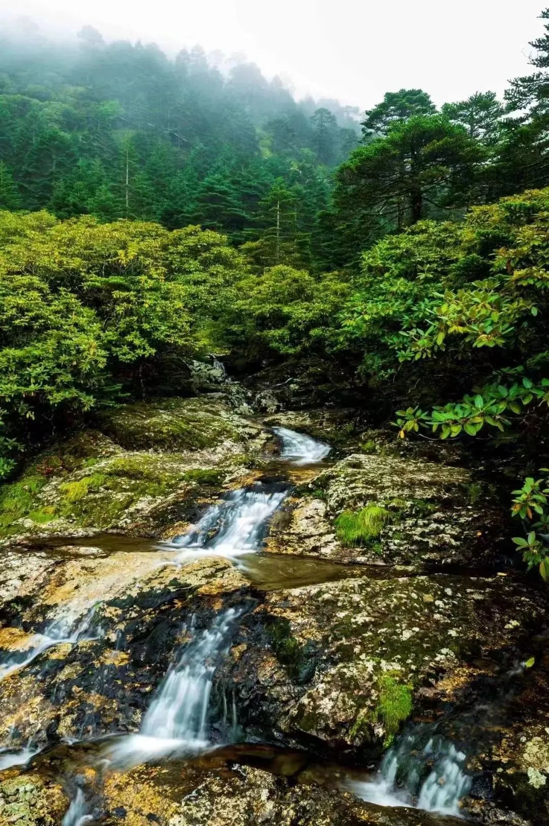 昆明文旅