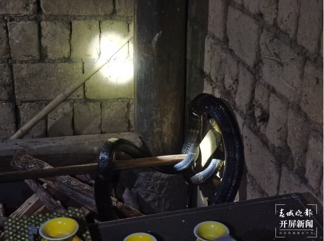 昆明信息港/cnkmxxg