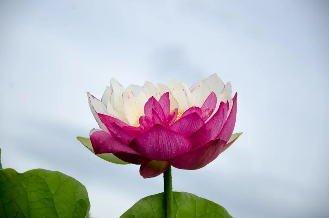 云南省文化和旅游厅