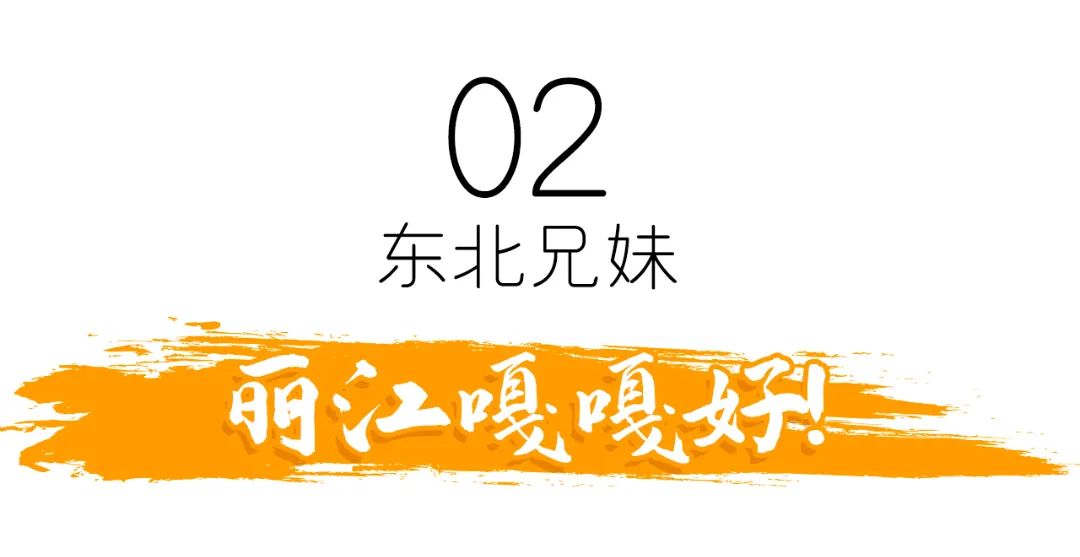 微丽江