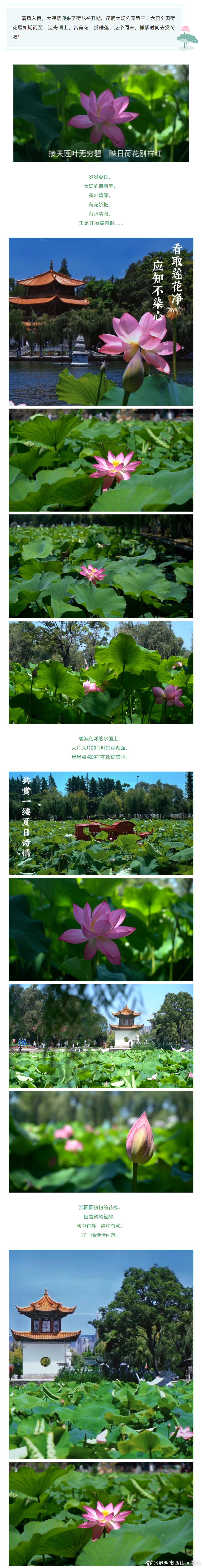 昆明市西山区发布