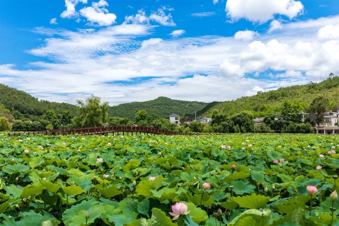 保山新闻网