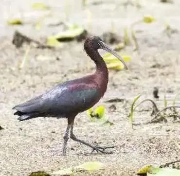 昆明发布