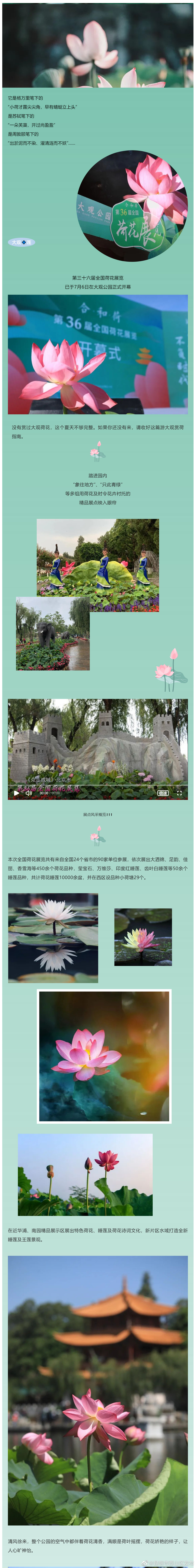 昆明市西山区发布