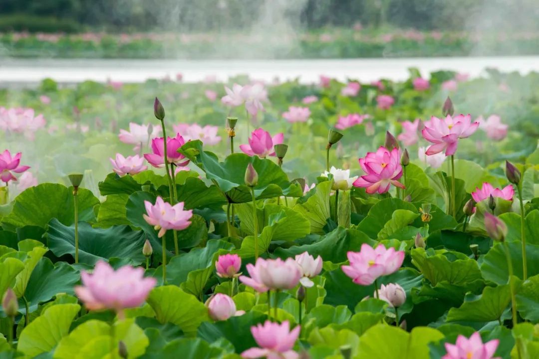 云南省文化和旅游厅