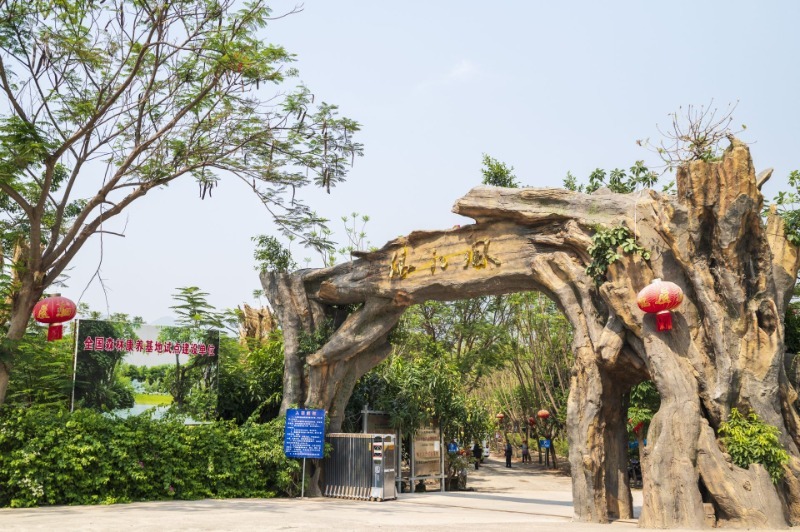云南省文化和旅游厅