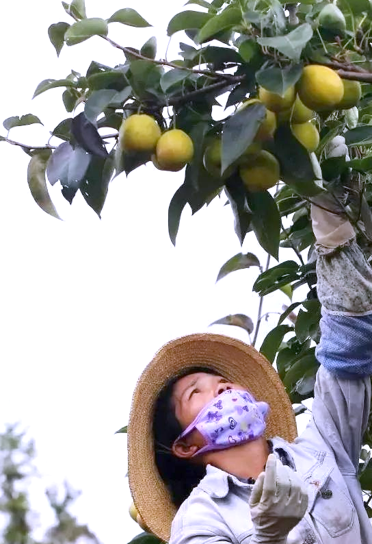 昆明文旅