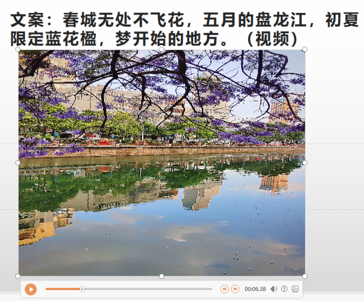 微观盘龙