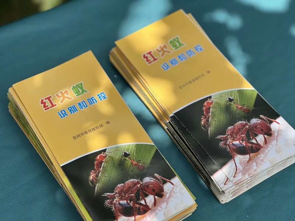 呈贡发布