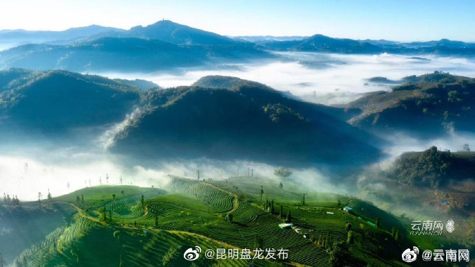 云南省未来24小时天气预报