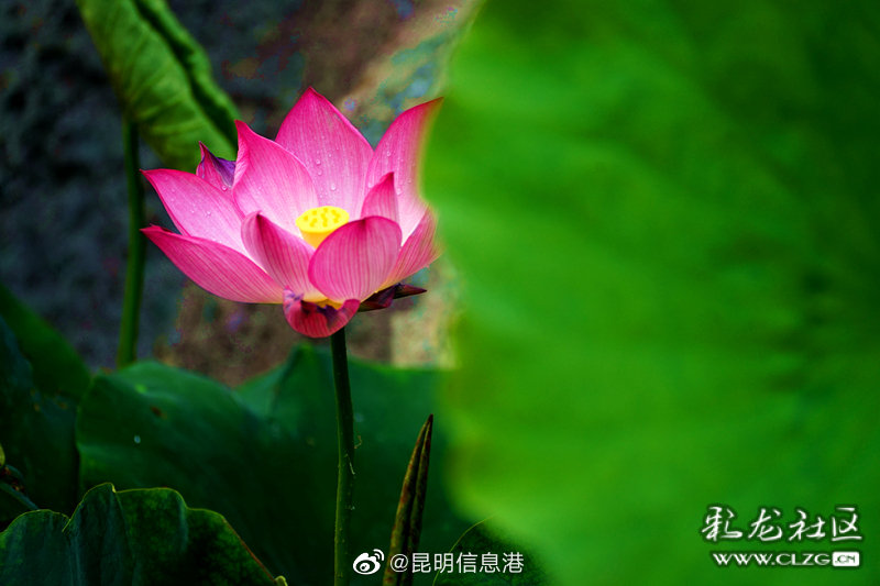 昆明信息港