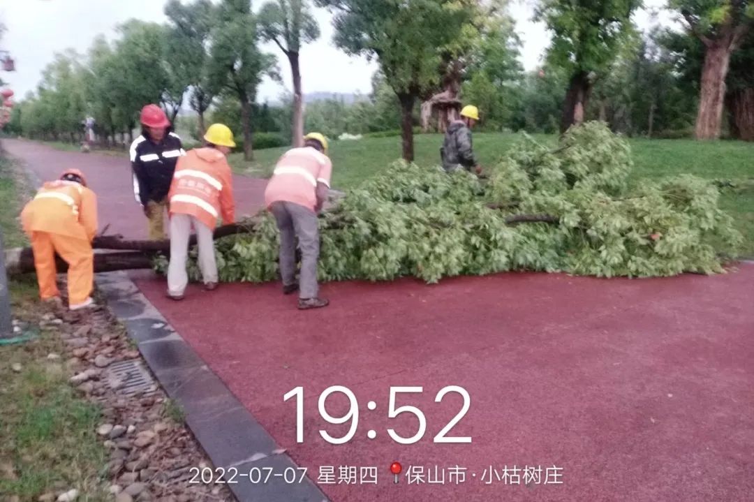 保山新闻网