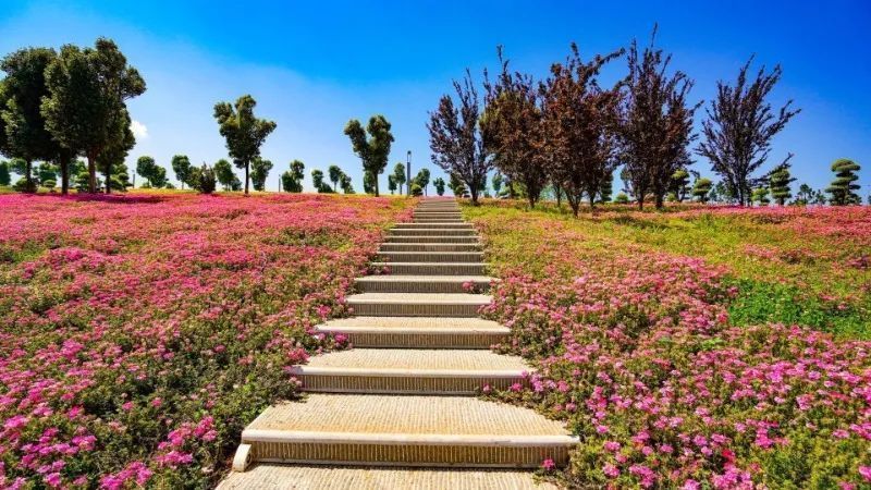 云南省文化和旅游厅