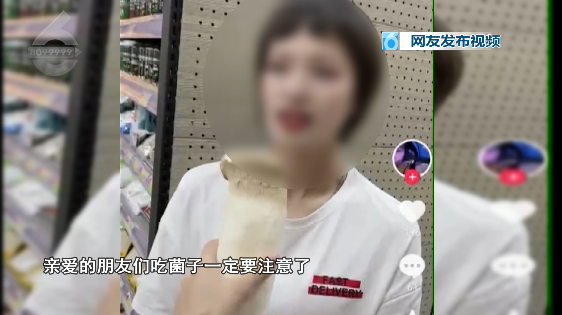 掌上春城
