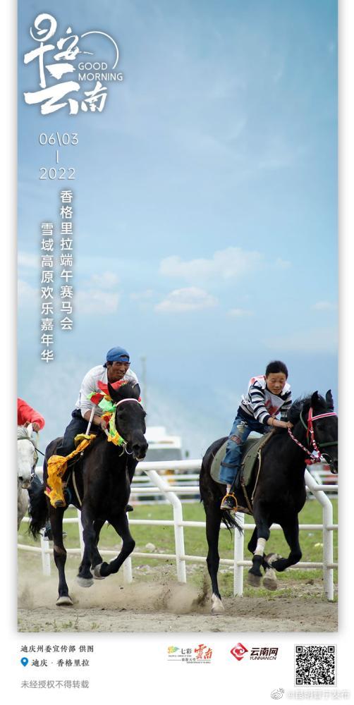 马踏高原赤尘起，且闻蹄声品粽香