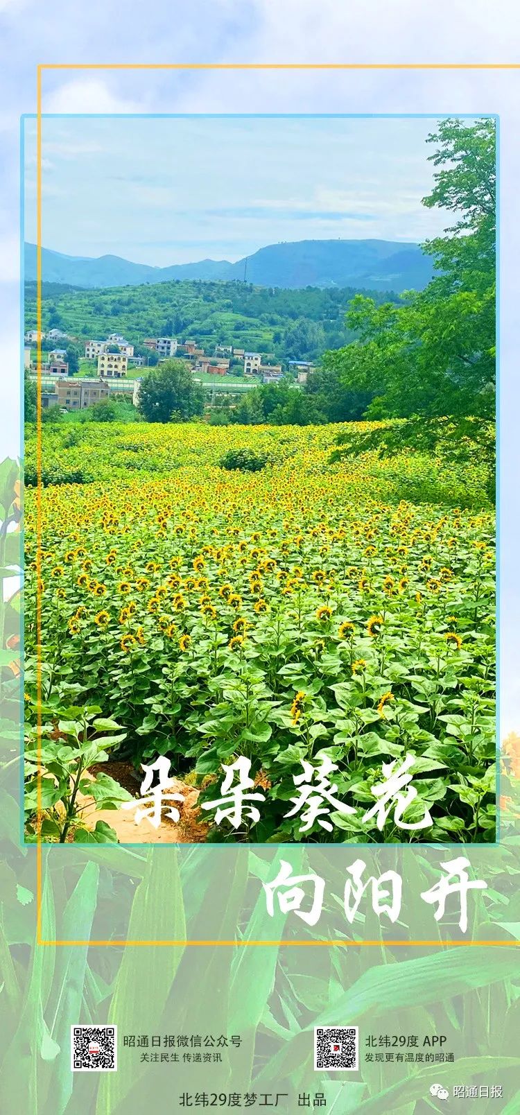 昭通日报