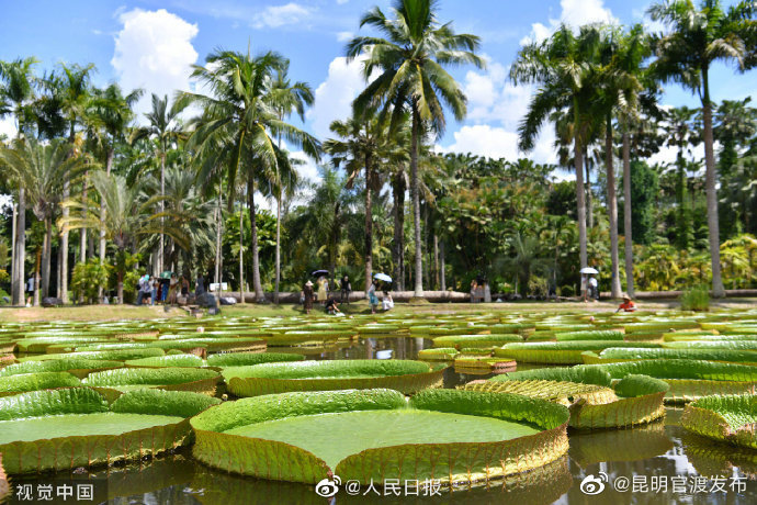 “昆明官渡发布”微博