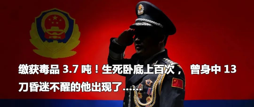 云南政法
