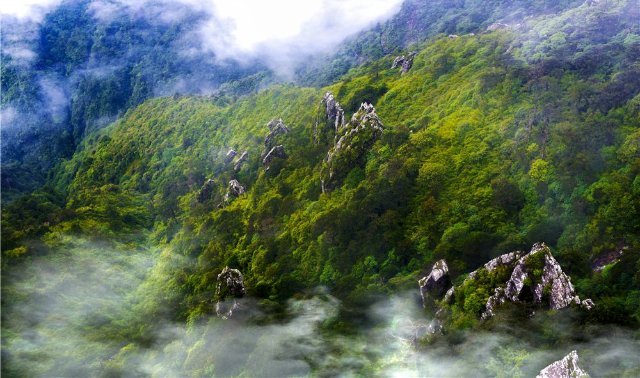 云南省文化和旅游厅
