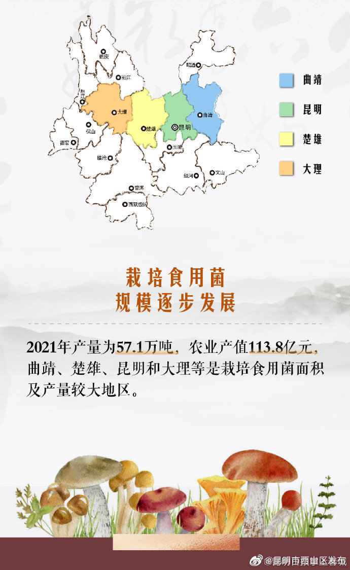 昆明市西山区发布