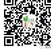 东川教育(微信)